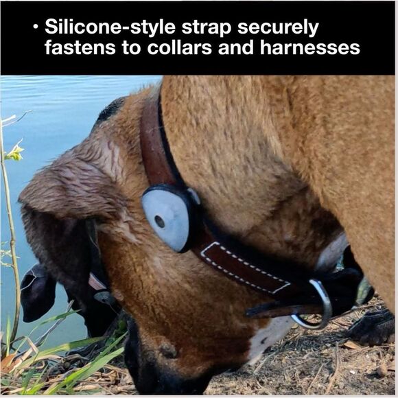 Max & Molly $39 Soundshield 24/7 UltraSonic Tick & Flea Repeller Dog Tag NEW - Picture 7 of 8